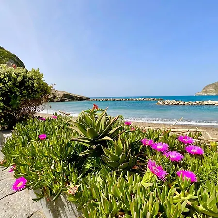 Casa Francesco Seaside